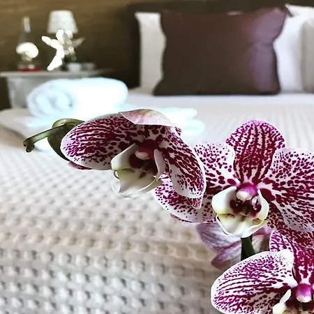 Pandora Hotel